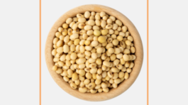 Soybean Meal