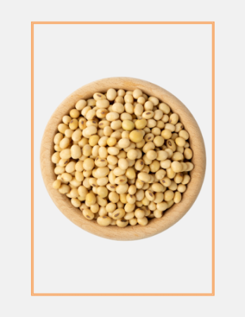 Soybean Meal